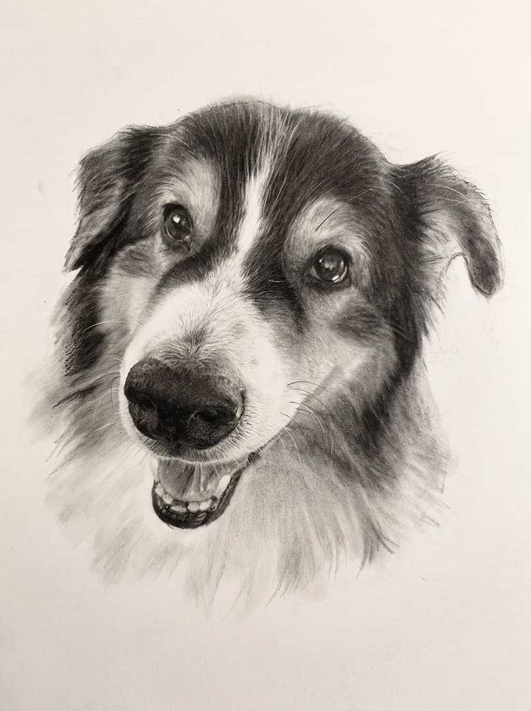 Charcoal Sketch